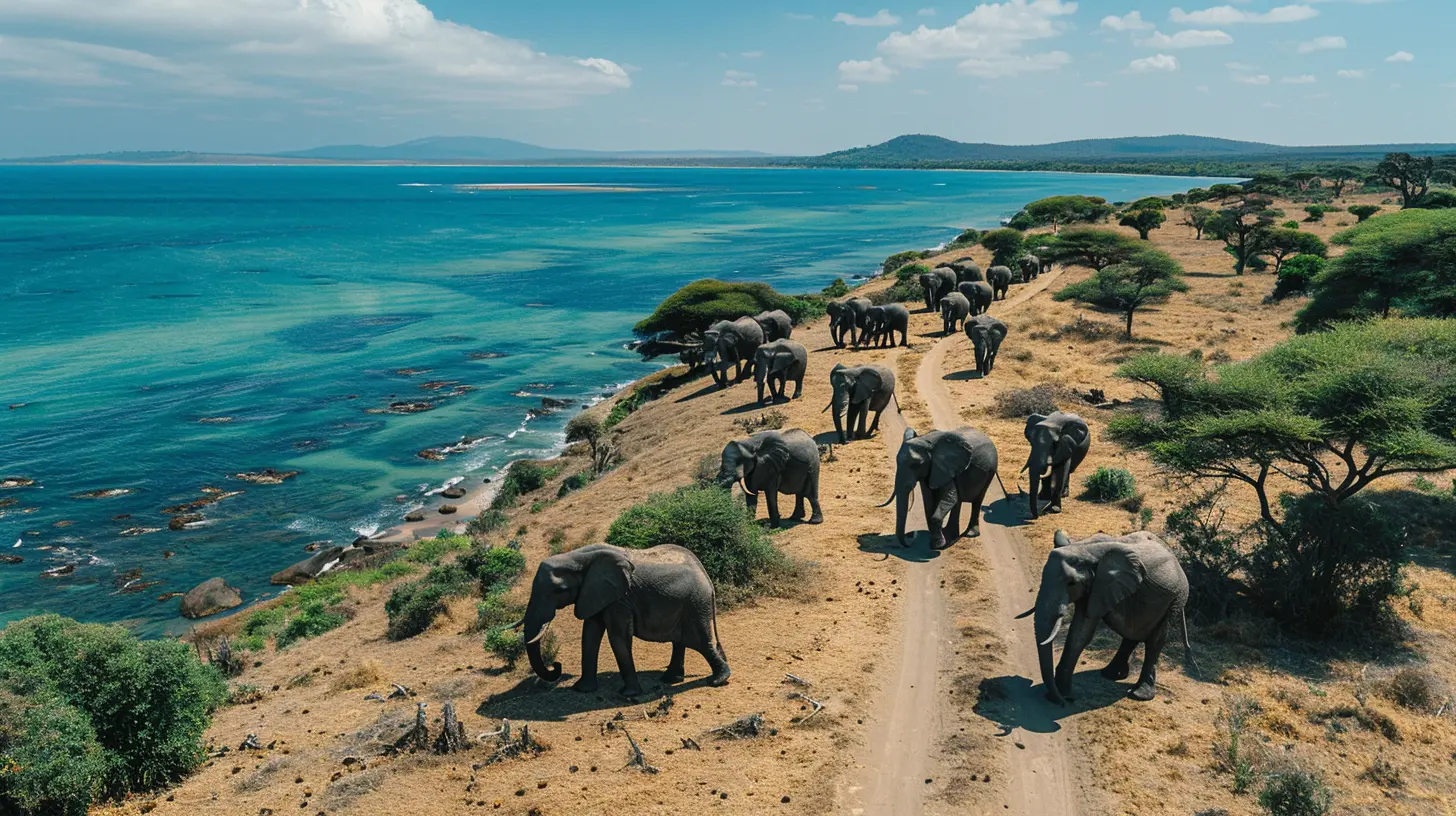 Discover Africa: Budget-Friendly Destinations for Adventurers