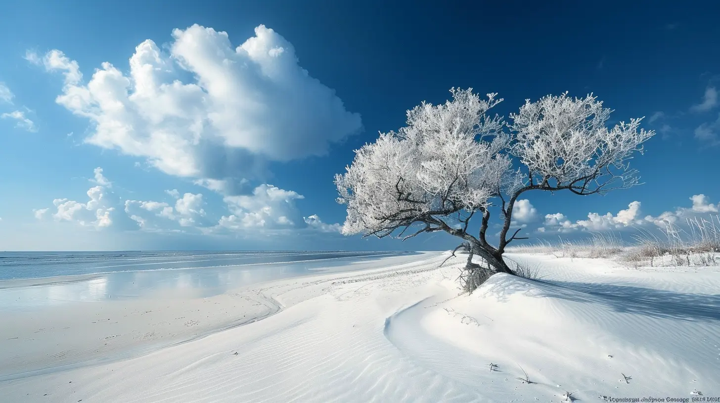 Escape to the White Sands of Finland’s Arctic Winter