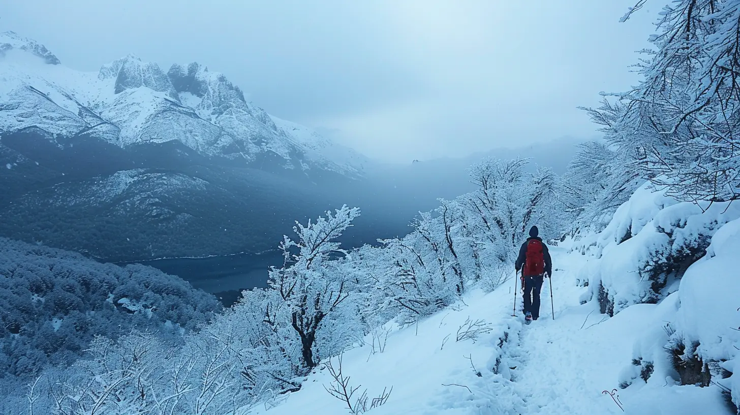 Find Solitude in the Snowy Beauty of Patagonia