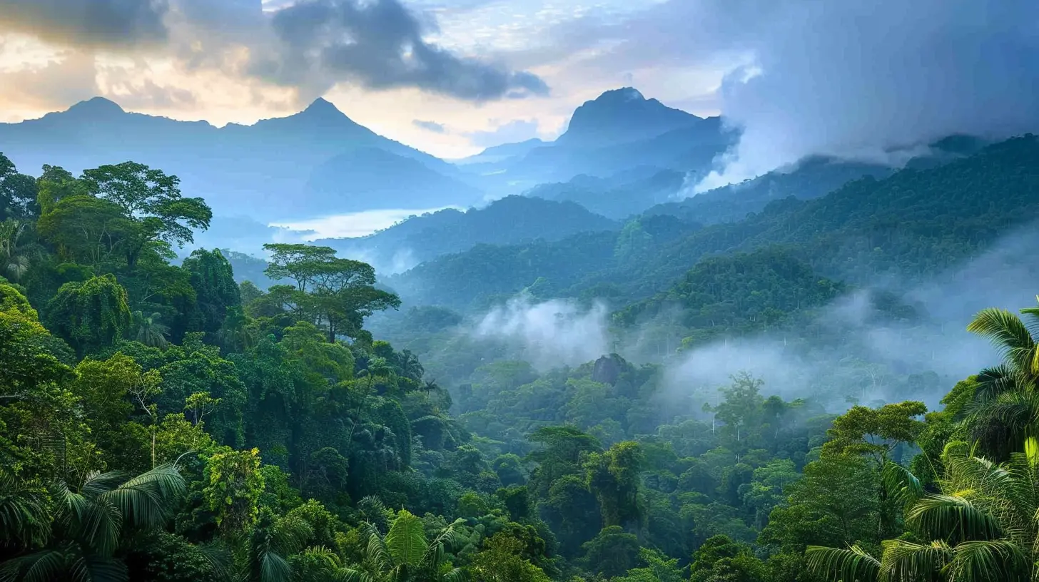 Rainforest Adventures for Eco-Conscious Travelers