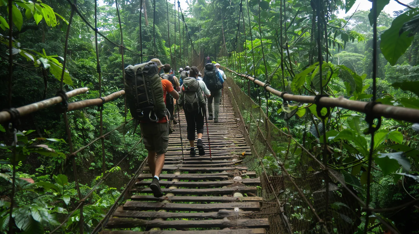Rainforest Hiking Trails for Every Skill Level