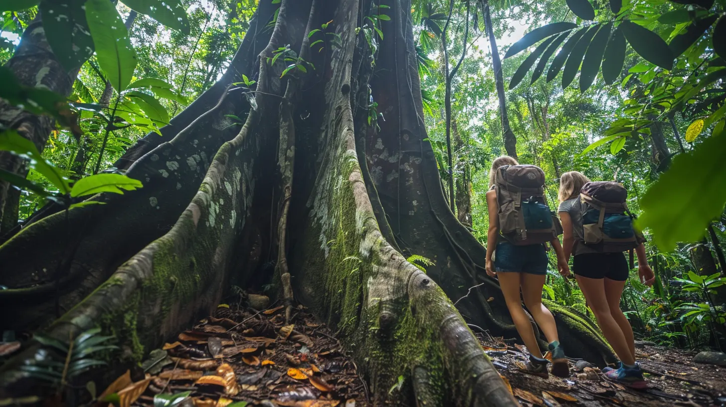 Walking with Giants: Rainforest Fauna Up Close