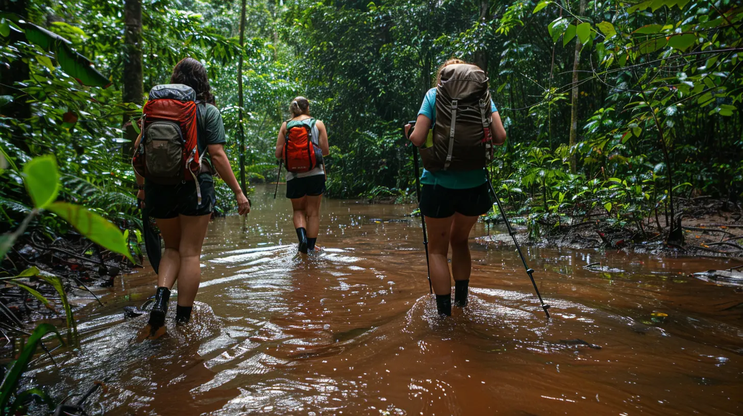 Where Rain Meets Adventure: Rainforest Hikes for Explorers