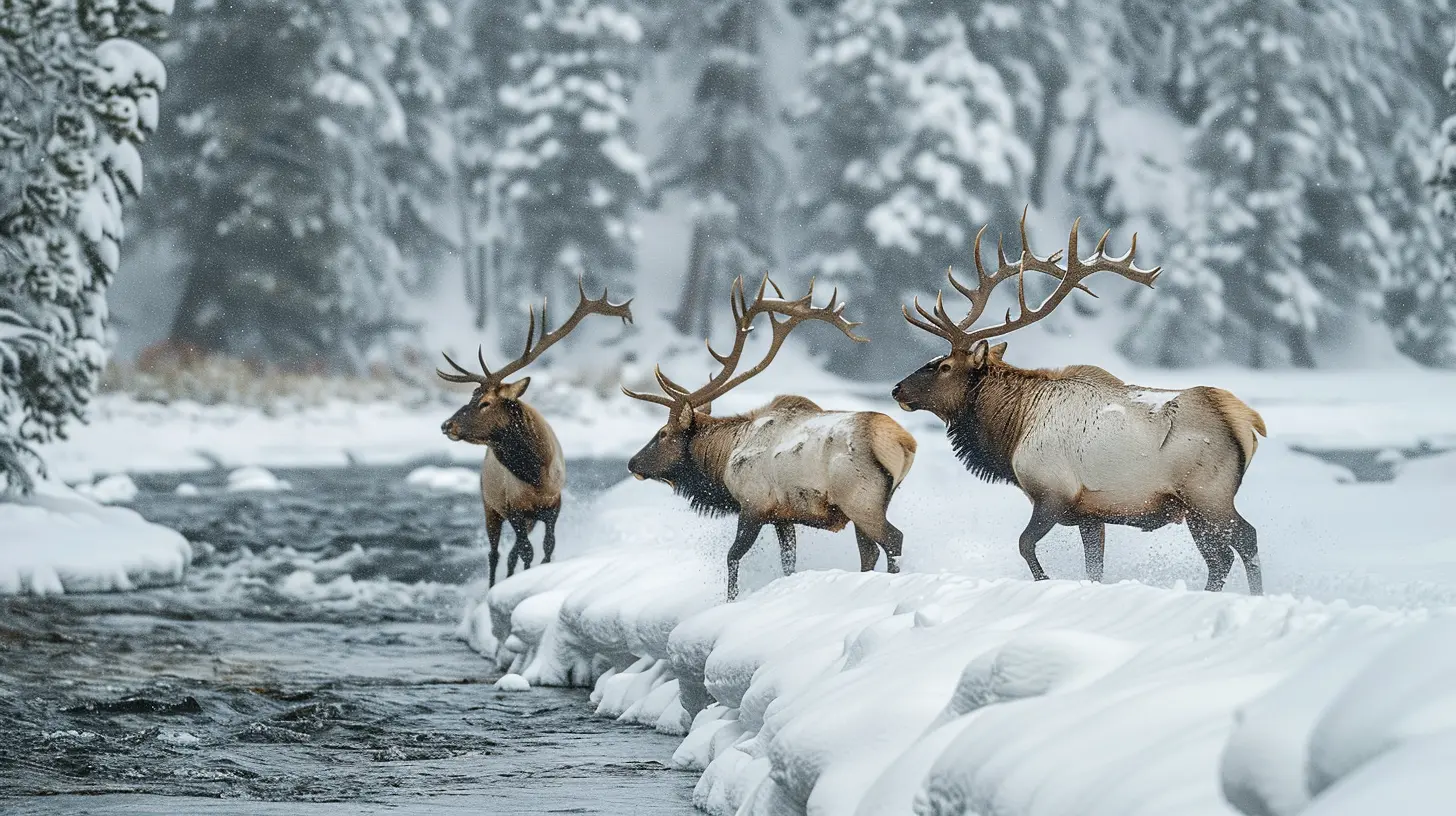 Winter Wildlife Safari: A Thrilling Adventure in Yellowstone