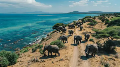 Discover Africa: Budget-Friendly Destinations for Adventurers