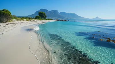 Discover Cape Town’s Beaches During the Best Seasons