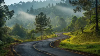 Discovering Unexplored Scenic Routes Around the World