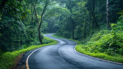 Eco-Friendly Road Trips to Recharge Your Soul