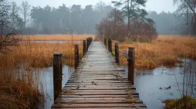 Explore Marshland Paths on an Elevated Hiking Experience