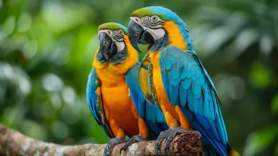 Exploring the Vibrant Wildlife of Tropical Rainforests
