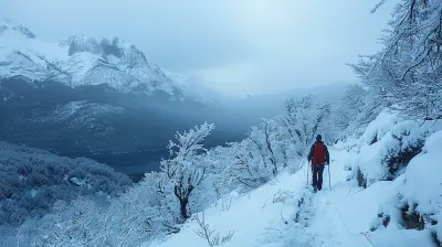 Find Solitude in the Snowy Beauty of Patagonia