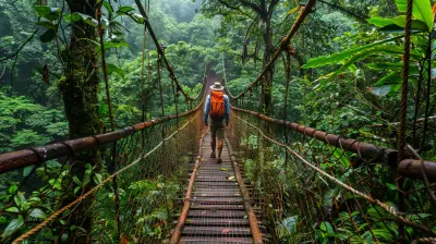 From Canopy To Floor A Full Rainforest Experience