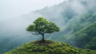 Going Green in the Wild: Simple Ways to Be More Sustainable in Remote Areas