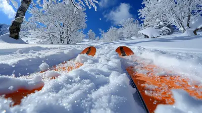 Off-Piste Skiing: What You Need to Know Before You Go