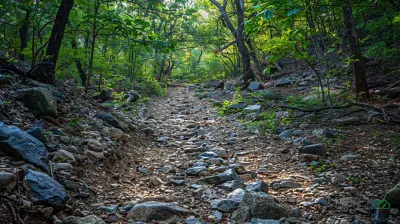 Off the Beaten Path: Lesser-Known Trails for True Explorers