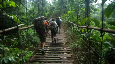 Rainforest Hiking Trails for Every Skill Level