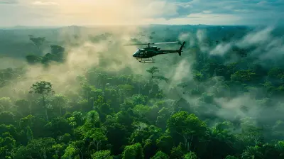 Sky Over The Jungle Helicopter Tours Above The Canopy