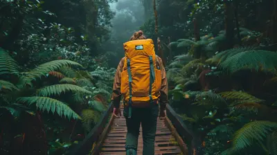 Step into Nature’s World: Rainforest Trails Awaiting You