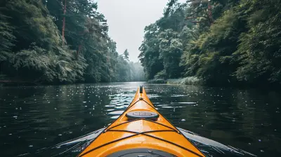 Waterways of the Rainforest: Kayaking Through the Wild