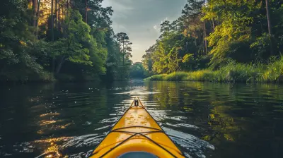 Waterways of the Rainforest: Kayaking Through the Wild