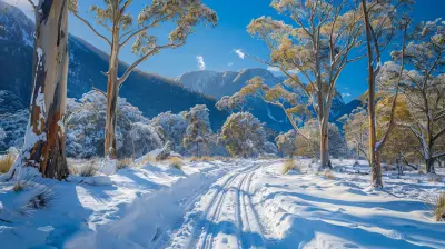 Winter Road Trips to Discover Australia’s Hidden Snowfields