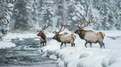 Winter Wildlife Safari: A Thrilling Adventure in Yellowstone