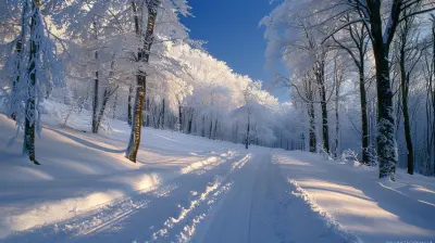 Winter Wonderland: Best Cold Weather Hiking Adventures