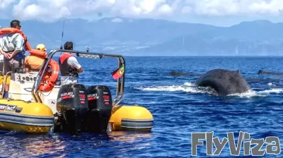 Azores Islands Embrace Sustainability with Launch of First Electric Tourist Boat